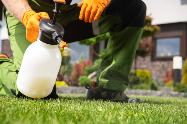 Flea Control Services in Fremont, NE