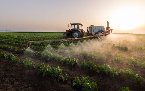 Best Local Pest Control Services  in Fremont, NE
