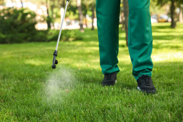 Best Termite Control Services  in Fremont, NE