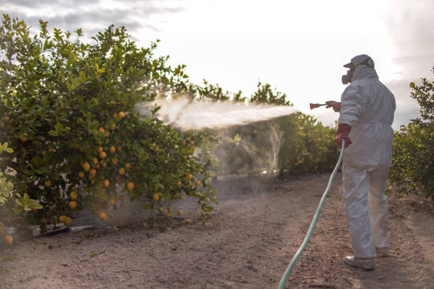 Best Bed Bug Extermination  in Fremont, NE
