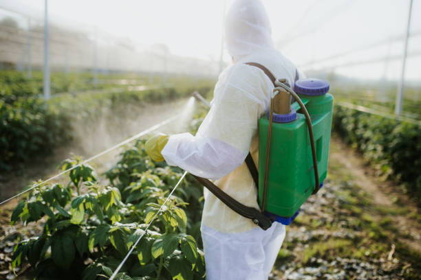 Best Flea Control Services  in Fremont, NE